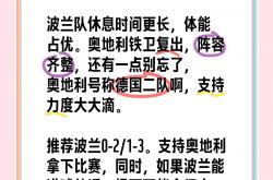 开云体育入口-波兰力克奥地利，欧预赛关键胜利引人瞩目！的简单介绍