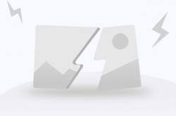 开云体育APP下载-山猫主帅表现不佳被解职，球队阵容调整难题藏患