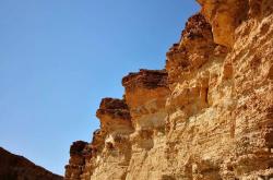 开云体育-突尼斯代表团斩获惊喜，突破神明