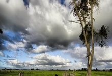 开云体育中国-中国队翻盘英格兰队，马龙扛起全队