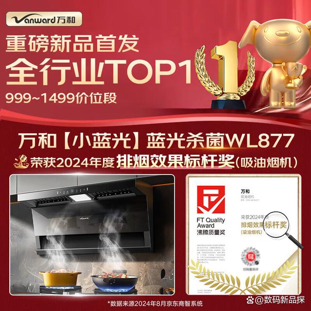 不莱梅主场告捷，领先优势继续保持领先优势的简单介绍