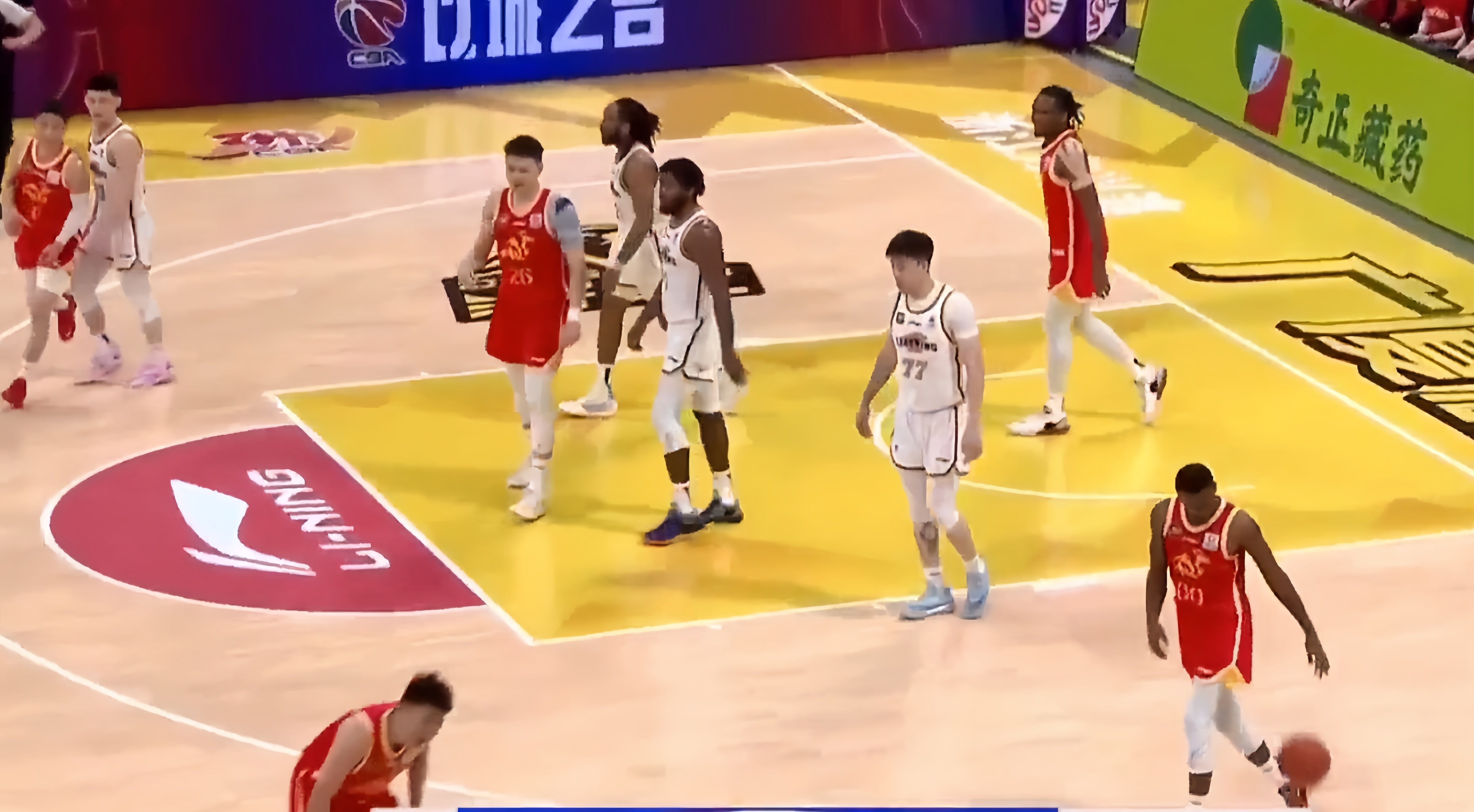 浙江队取得惊险胜利，引发球迷狂热