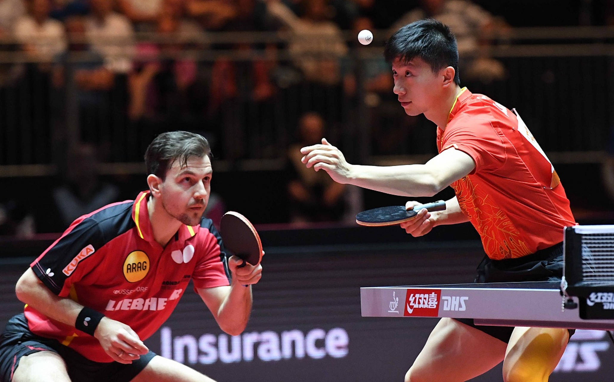 瑞典乒乓球队血洗德国乒乓球队,波尔统治全场的简单介绍 瑞典乒乓球队血洗德国乒乓球队,波尔统治全场的简单介绍