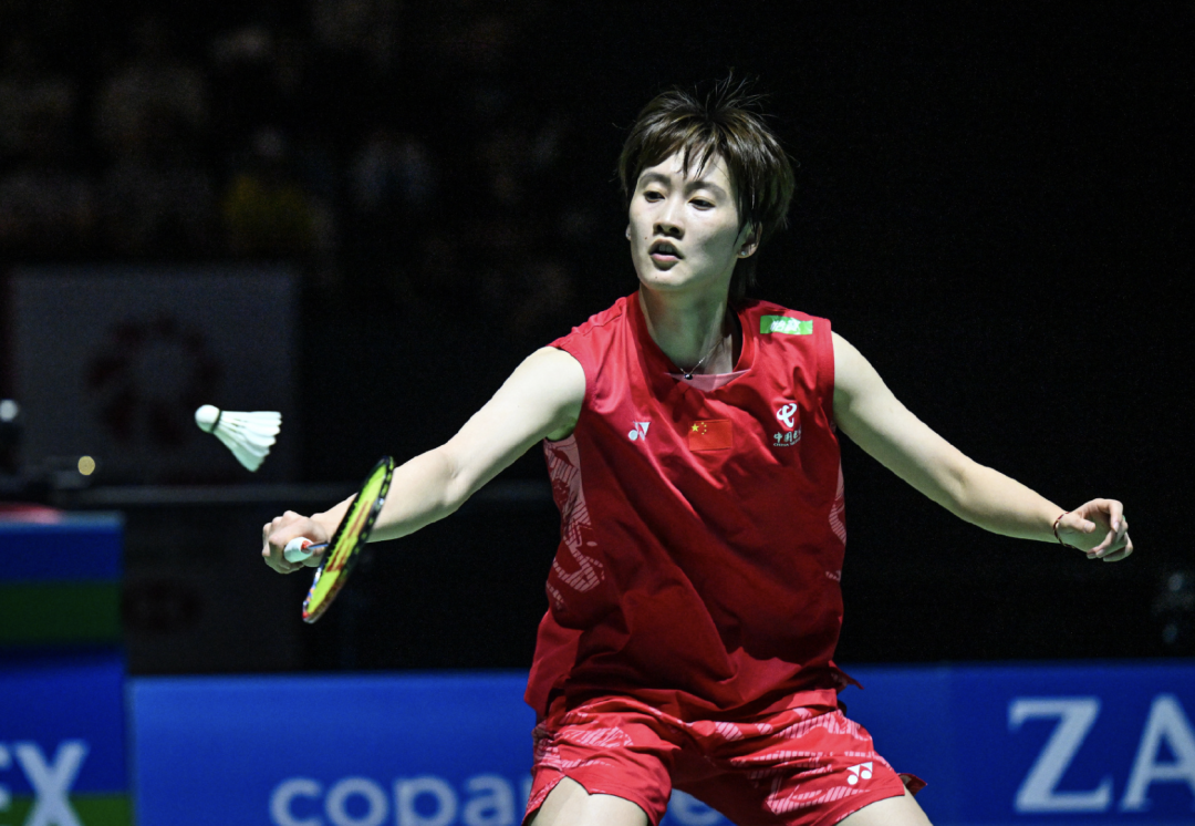 马来西亚队力克法国队，陈雨菲高光表现的简单介绍